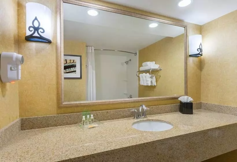 اتاق استاندارد, Holiday Inn Baltimore Bwi Airport, An Ihg