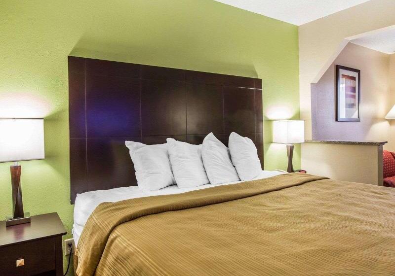キングサイズベッドのスタンダードルーム, Quality Inn & Suites Dublin