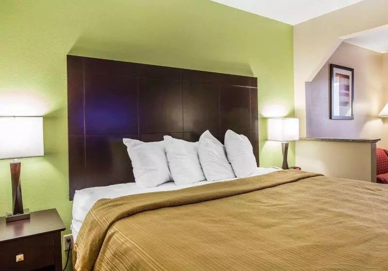 キングサイズベッドのスタンダードルーム, Quality Inn & Suites Dublin