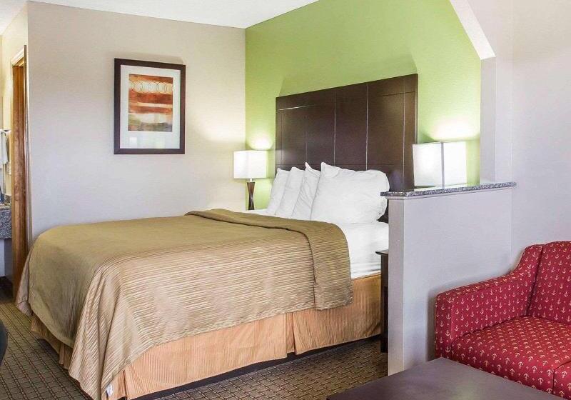 キングサイズベッドのスタンダードルーム, Quality Inn & Suites Dublin