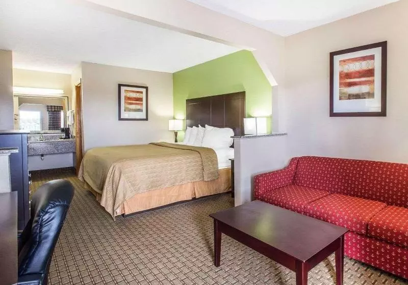 キングサイズベッドのスタンダードルーム, Quality Inn & Suites Dublin
