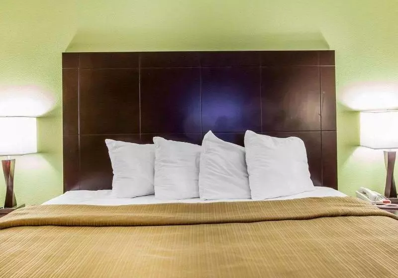 キングサイズベッドのスタンダードルーム, Quality Inn & Suites Dublin