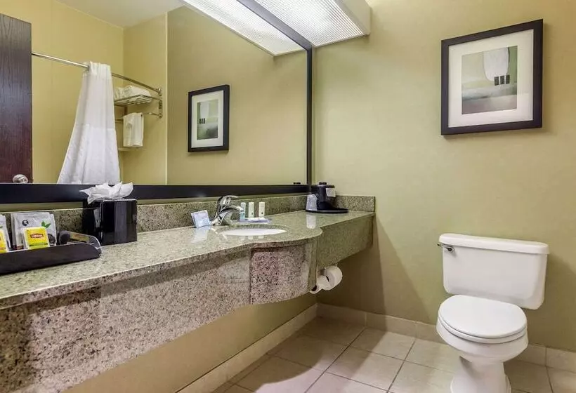 スイート, Quality Inn & Suites Durant