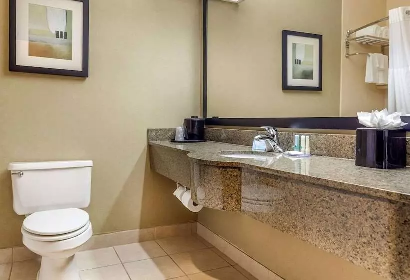 スイート, Quality Inn & Suites Durant