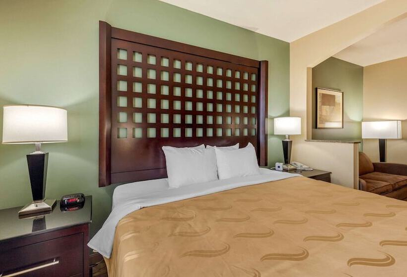 Люкс, Quality Inn & Suites Durant