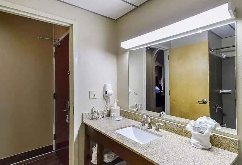 سوئیت برای معلولان, Quality Suites