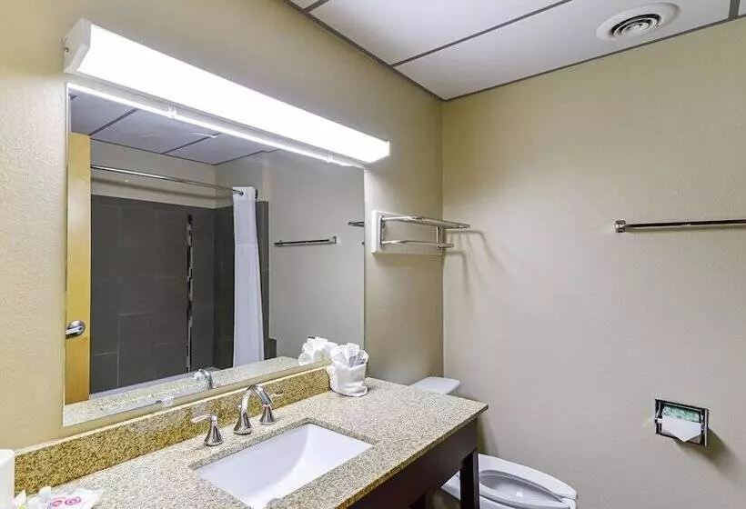 سوئیت برای معلولان, Quality Suites