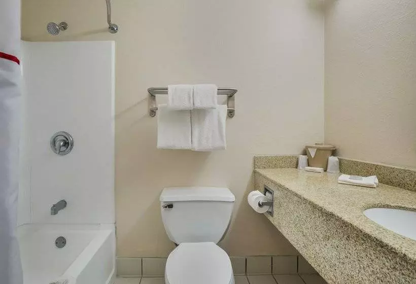 デラックスルーム, Red Roof Inn & Suites Knoxville East