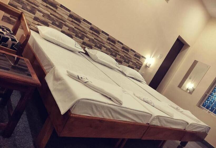 经济型三人房间, Wins