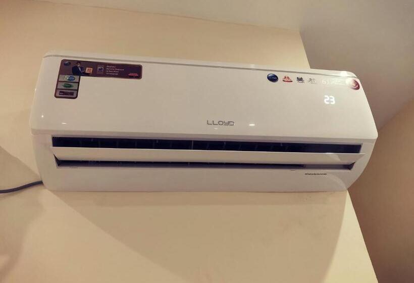 经济型三人房间, Wins