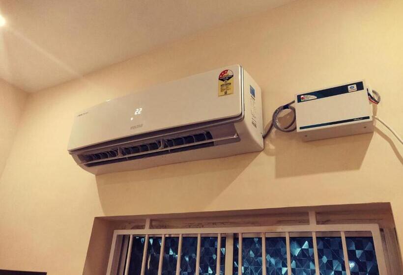 经济四人房间, Wins