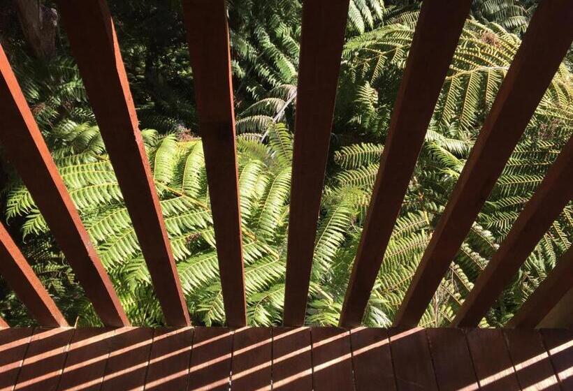 חדר סטנדרט, Kanuka Ridge Lodge