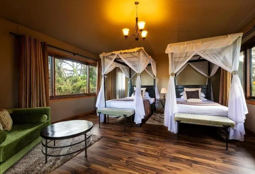 Deluxe Tent, Lions Paw Ngorongoro