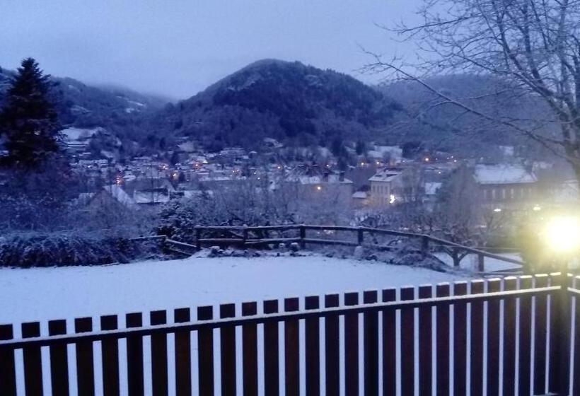 Номер Стандарт Вид на Горы, Hôtel St Joseph
