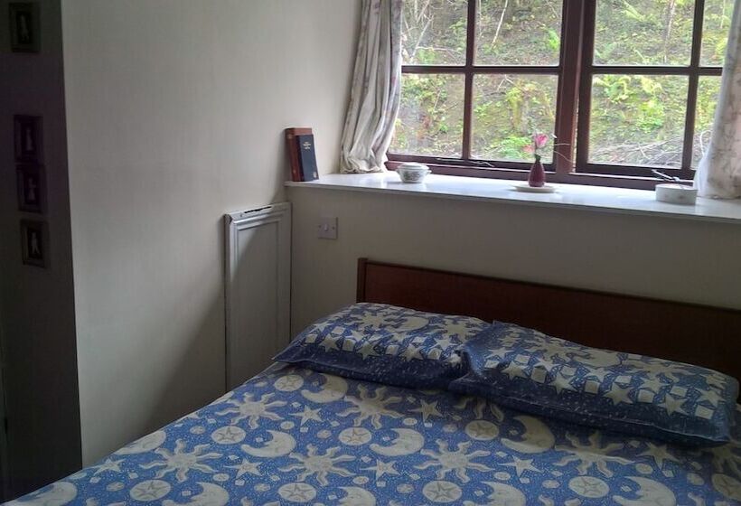 غرفة قياسية, Rhymney House