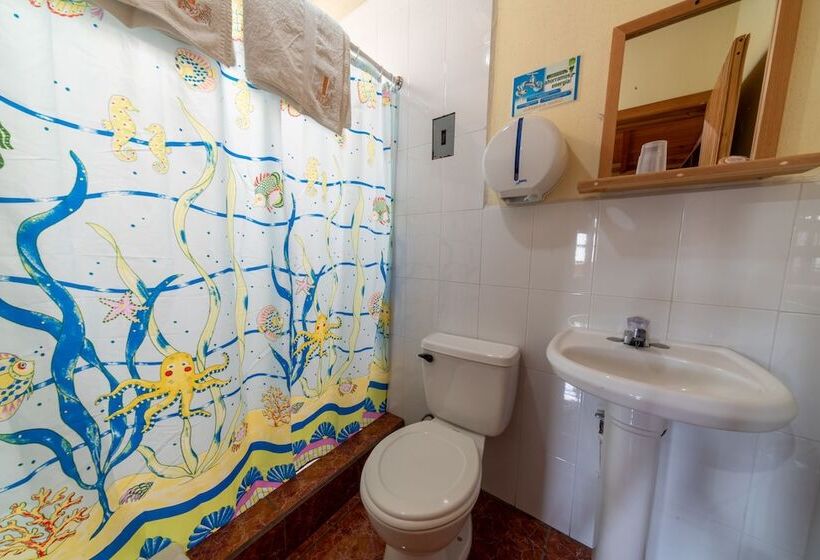 اتاق استاندارد, Posada Don Teco