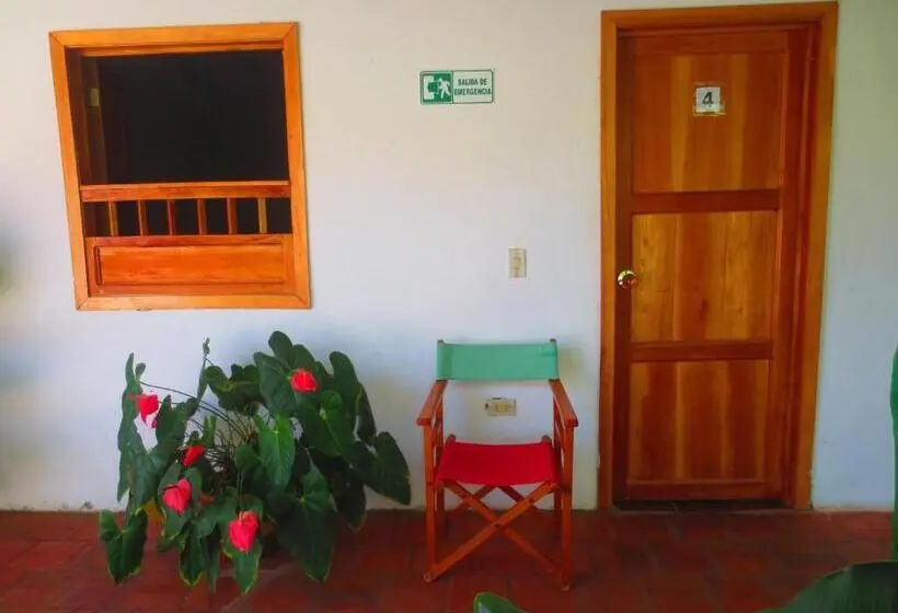ファミリールーム, Mi Ranchito, Centro