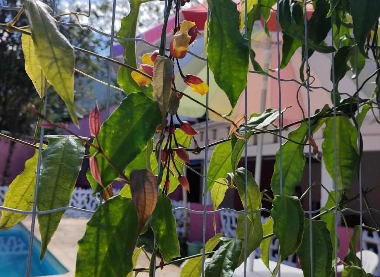 آپارتمان 1 خوابه, Pousada Nova Primavera