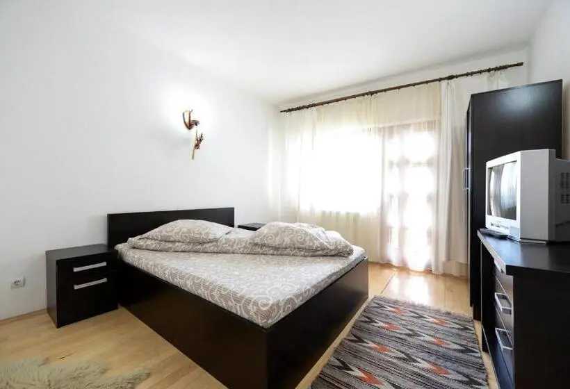 Standard-huone, Pensiunea Arina