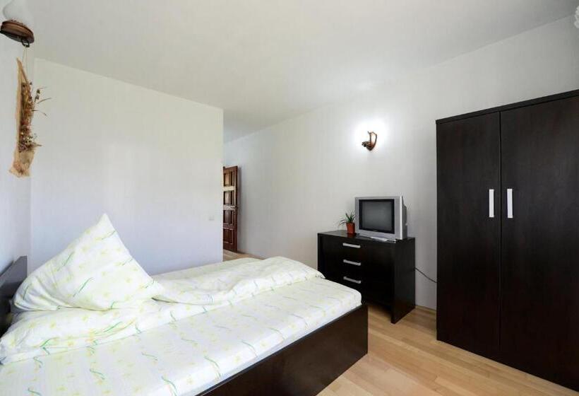 غرفة قياسية, Pensiunea Arina