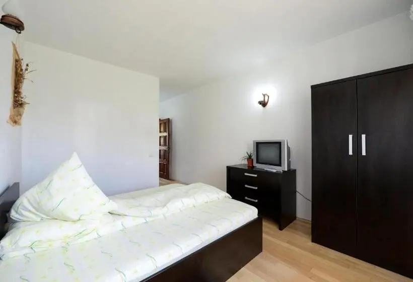 Standard-huone, Pensiunea Arina
