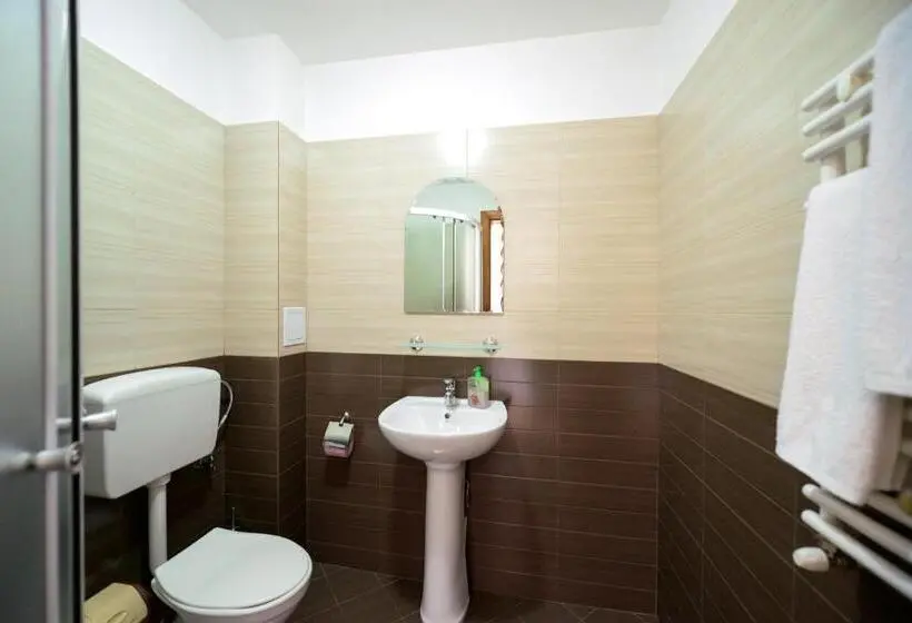 Standard-huone, Pensiunea Arina