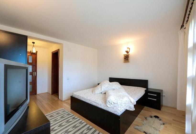 غرفة قياسية, Pensiunea Arina