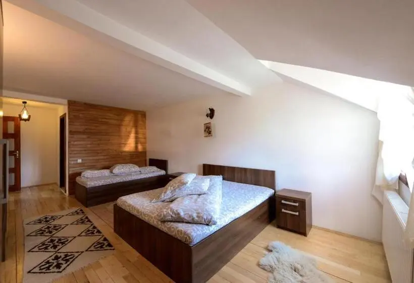 Standard Kolmen Hengen Huone, Pensiunea Arina