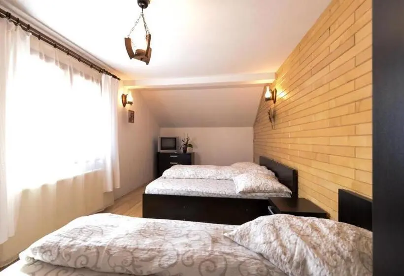 Standard Kolmen Hengen Huone, Pensiunea Arina