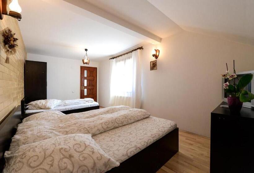 غرفة قياسية ثلاثية, Pensiunea Arina