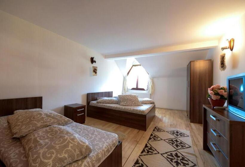 غرفة قياسية ثلاثية, Pensiunea Arina