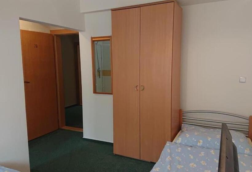 اتاق استاندارد, Penzion Pod Vlkolíncom