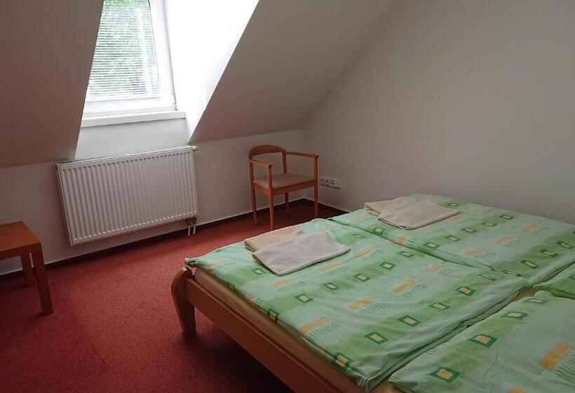 آپارتمان 1 خوابه, Penzion Pod Vlkolíncom