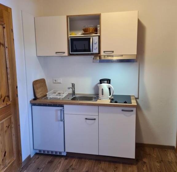 Standard Studio med Balkong, Ahlhof