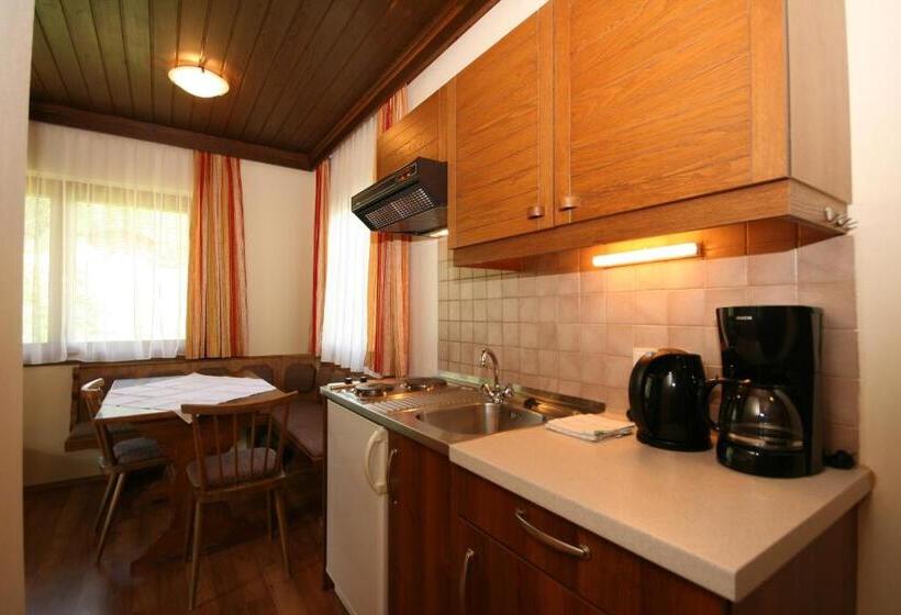 Family studio with balcony, Ahlhof