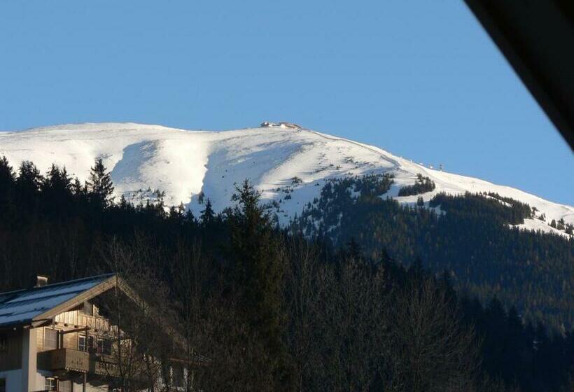 バルコニー付き1ベッドルームアパートメント, Bio Bauernhof Obertrattenbachhof