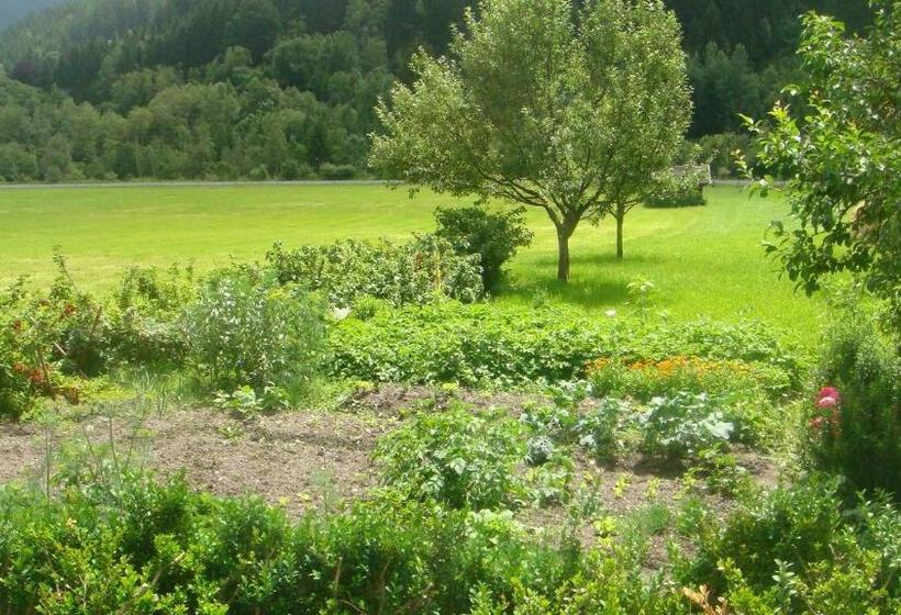 バルコニー付きスタンダードルーム, Bio Bauernhof Obertrattenbachhof