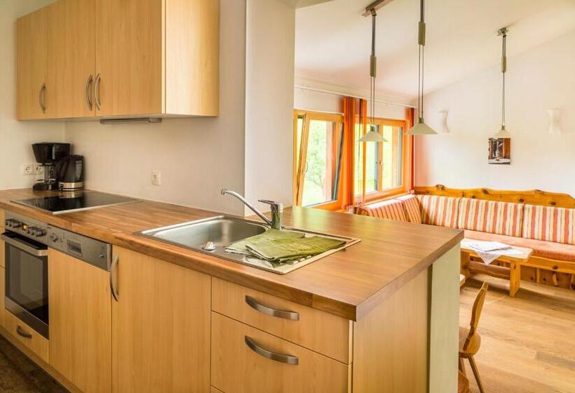 شقة ديلوكس غرفة واحدة, Tonibauer