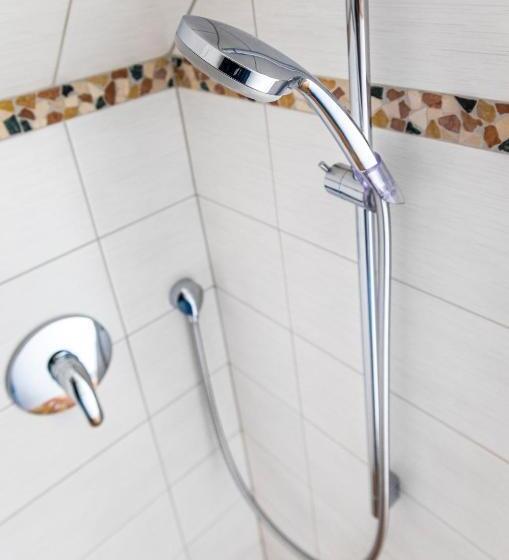 شقة ديلوكس غرفة واحدة, Tonibauer