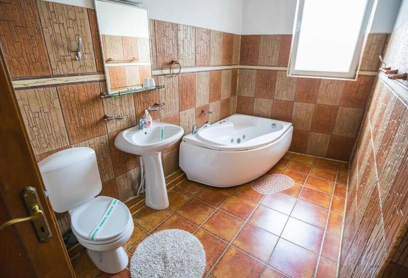 スタンダードトリプルルーム, Pensiunea Brici