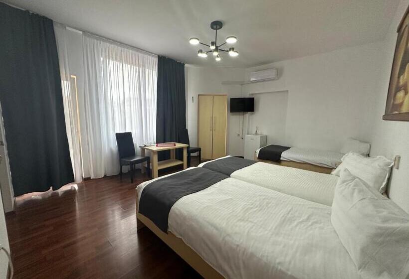 スタンダードトリプルルーム, Pensiunea Brici