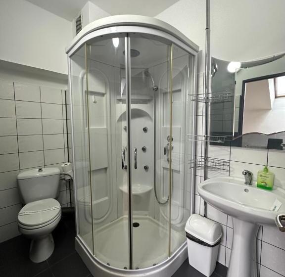 スタンダードルーム, Pensiunea Brici