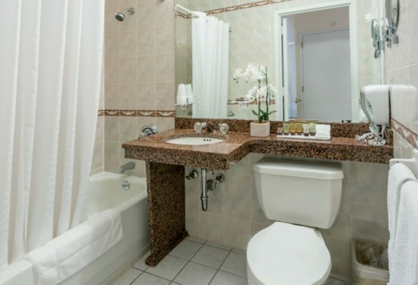 豪华房间, Chelsea Savoy