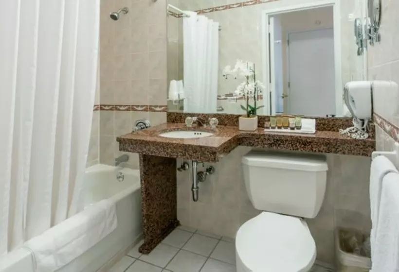 Deluxe-huone, Chelsea Savoy