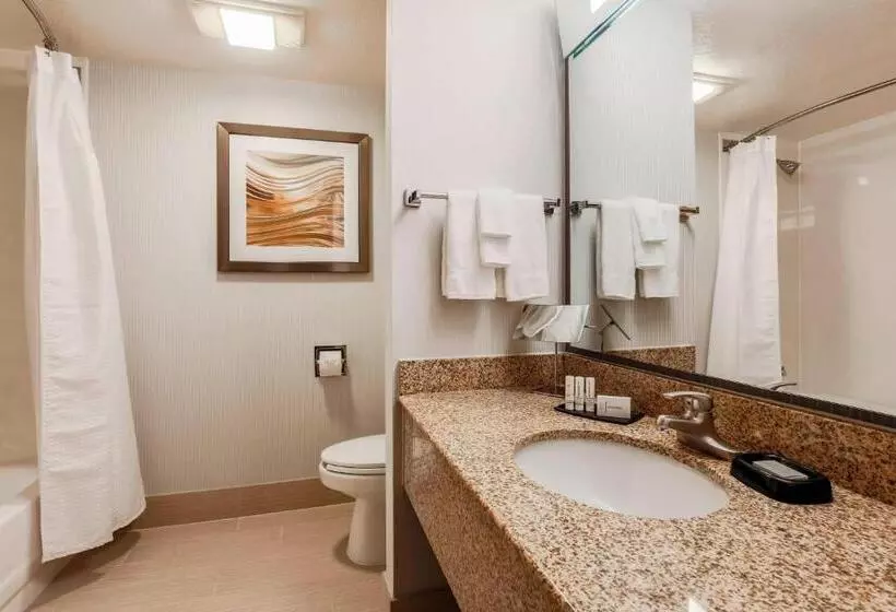 キングサイズベッドのデラックスルーム, Courtyard By Marriott Orlando Lake Mary North