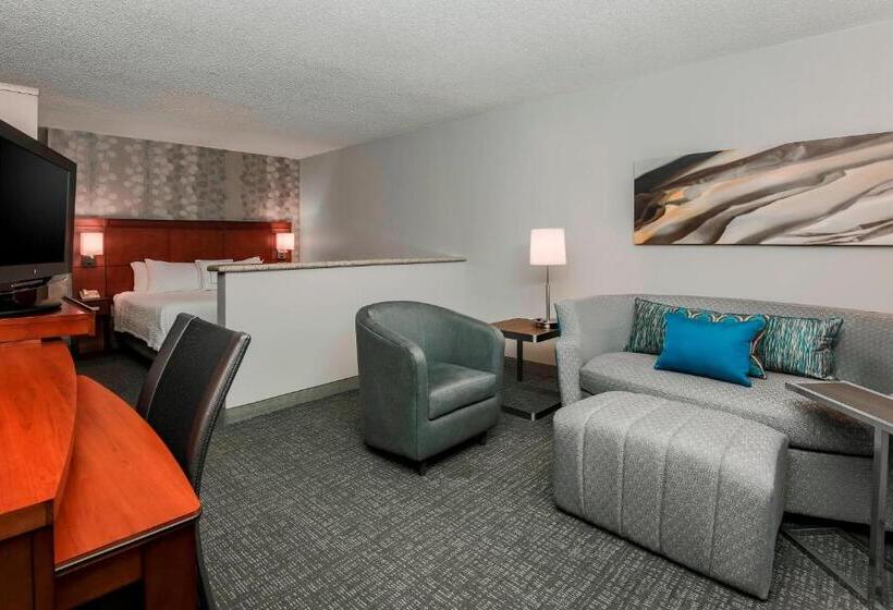 חדר דחוקס עם מיטת קינג, Courtyard By Marriott Orlando Lake Mary North