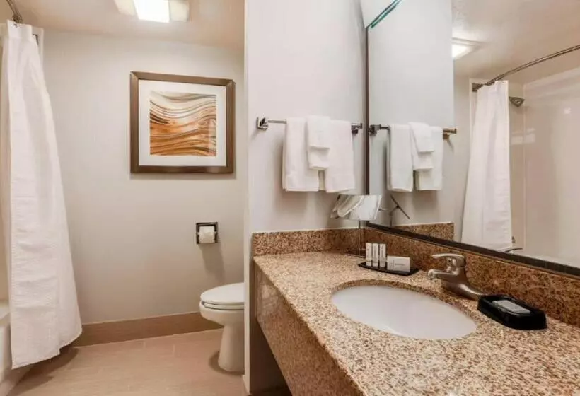 キングサイズベッドのスイートルーム, Courtyard By Marriott Orlando Lake Mary North