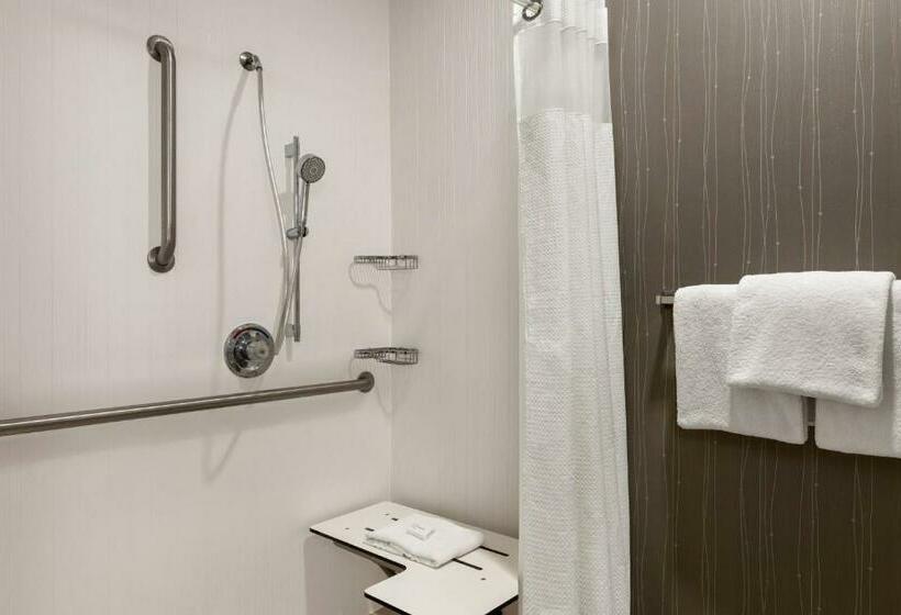 스탠다드 룸 킹사이즈 침대, Courtyard Lubbock