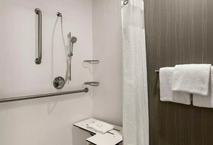اتاق استاندارد با تخت بزرگ, Courtyard Lubbock