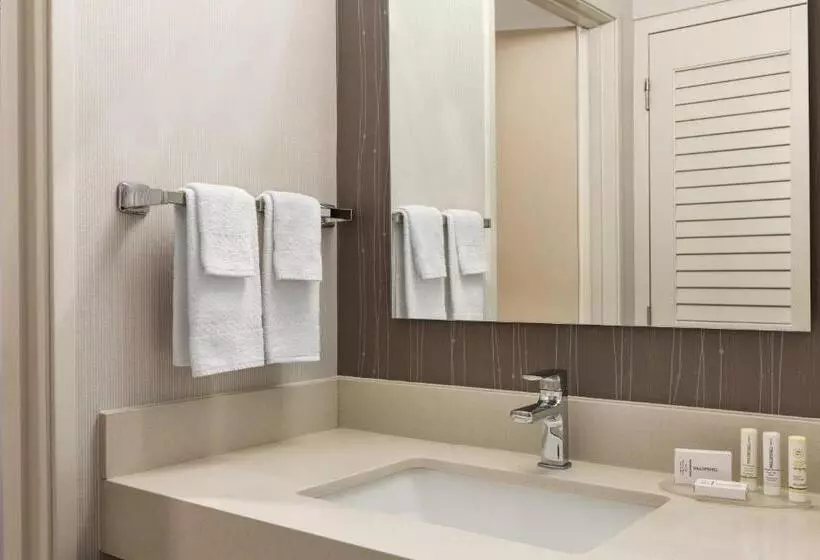 اتاق استاندارد با تخت بزرگ برای معلولان, Courtyard Lubbock